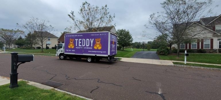 teddy moving truck on the road