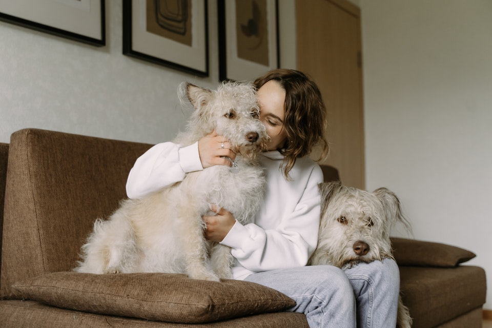 A girl with her dogs