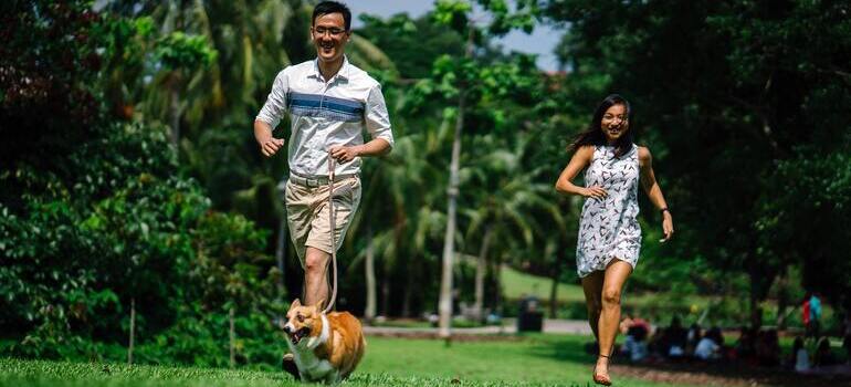 a couple is running with dog