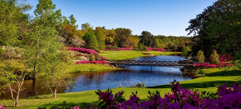 park with river